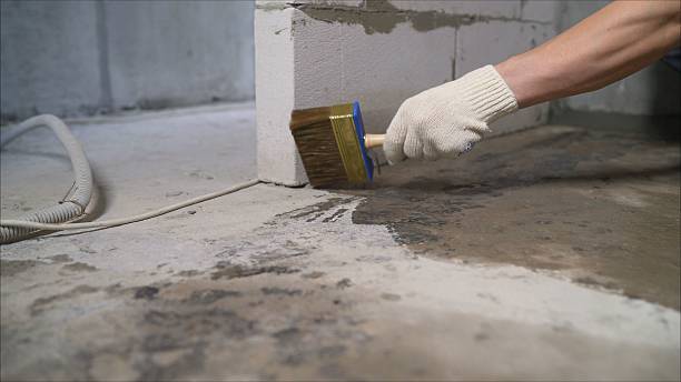 SJ Waterproofing Pros Emergency Waterproofing coverage map for Speedwell, TN and surrounding area